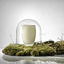 Élégantes bougies - Marianne Guédin (Paris)