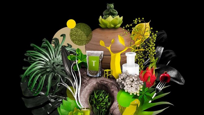 Composition Seconde Nature par Hervé Gambs