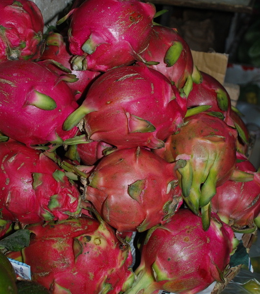 Riche en calcium, vitamine C et antioxydants, le Fruit du Dragon renferme une pulpe fine, goûteuse et délicate