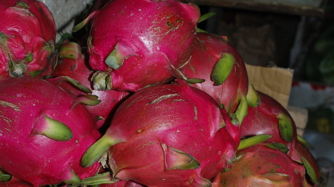 Riche en calcium, vitamine C et antioxydants, le Fruit du Dragon renferme une pulpe fine, goûteuse et délicate