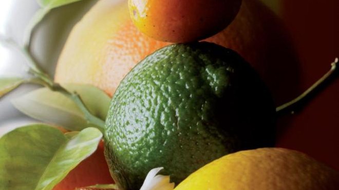 Quatre agrumes associés pour un joli cocktail de saveurs