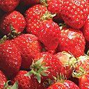 Fraises: la reine des confitures !