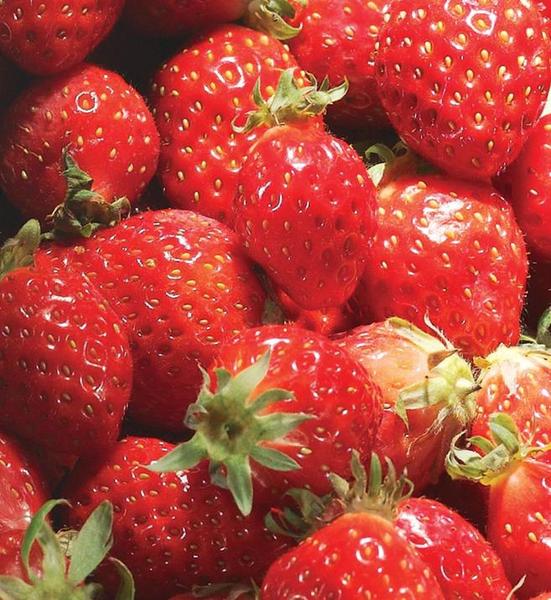 Fraises: la reine des confitures !