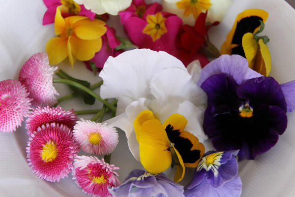 Un méli mélo de fleurs comestibles aux couleurs vives