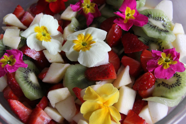 Salade fraicheur de printemps