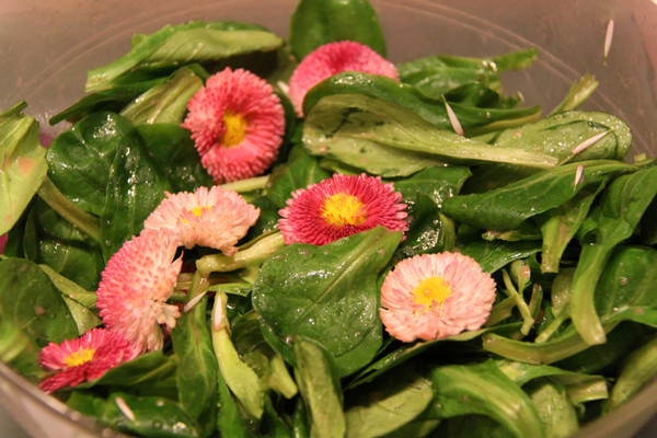 N'hésitez pas à mélanger les fleurs avec la verdure après assaisonnement