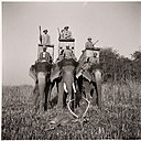 Chasse enturbannée à dos d'éléphants