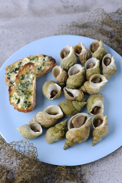 Toasts gourmands et bulots : prémices d’un repas d’été.