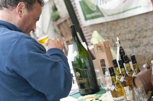 Le marché décline une multitude de produits