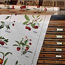 "Verger" illustré de fraises des bois, framboises et groseilles à maquereaux