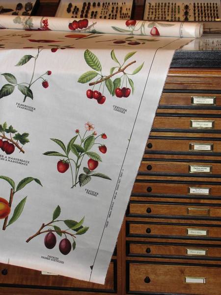 "Verger" illustré de fraises des bois, framboises et groseilles à maquereaux