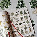 "Arboretum" imprimé sur un coton chintz