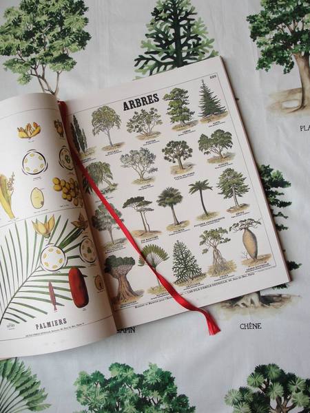 "Arboretum" imprimé sur un coton chintz