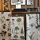 Véritable cabinet de curiosités, Deyrolle vaut le détour