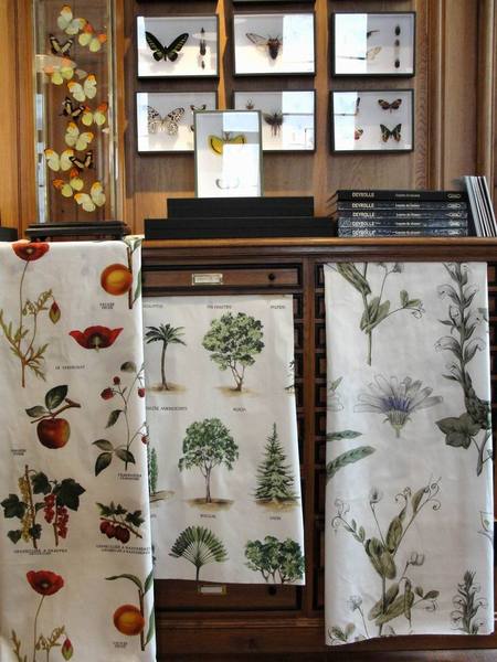 Véritable cabinet de curiosités, Deyrolle vaut le détour