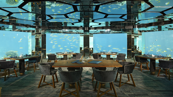 Instant magique: dîner sous eau au beau milieu des poissons tropicaux