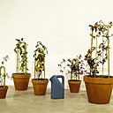 Tuteurs et arrosoirs nouvelle génération de l’atelier BL Tuteurs et arrosoirs nouvelle génération de l’atelier BL