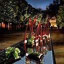 Alexis Tricoire nous démontre une fois de plus son amour des jardins avec ce bassin Alexis Tricoire nous démontre une fois de plus son amour des jardins avec ce bassin