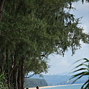 Cours de yoga sur la plage
