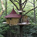 Une nuit romantique et inoubliable perché dans la cabane Cherry