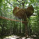 Au petit matin, votre panier de petit déjeuner vous attend au bout de la corde (cabane des Demoiselles)