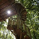 S'enroulant autour de l'arbre, l'escalier vous mènera au 7ème ciel (cabane Perle)