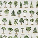 Les célèbres planches de botaniques Deyrolle en tissus d'ameublement. Ici Arboretum