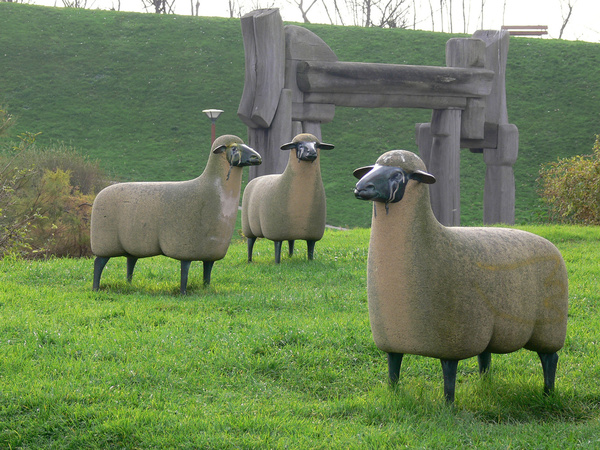 Les moutons des Lalanne affectionnent l’herbe du jardin