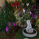 Exposition et décor floral