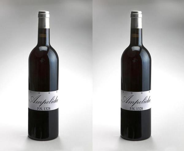 L'Ampelidae, joli vin bio qui a déjà pris place sur de très grandes tables