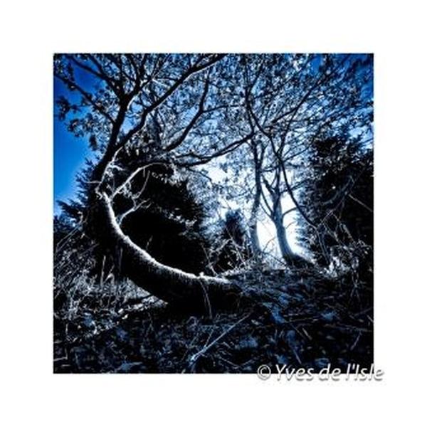 Photo de Yves de l'Isle