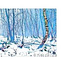 Photo de Yves de l'Isle