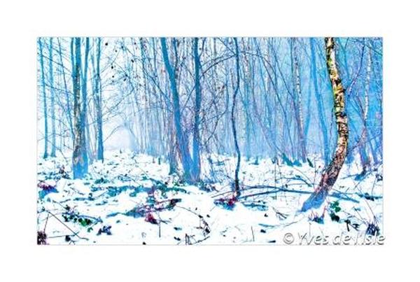 Photo de Yves de l'Isle