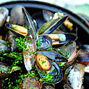 Riches en protéines et en minéraux, dégustez des moules à foison