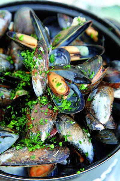 Riches en protéines et en minéraux, dégustez des moules à foison
