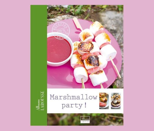 Marshmallows grillés en brochettes et autres merveilleuses recettes régressives