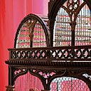 Détail cage, Maison Fassier, oiseaux, Claude Nature.