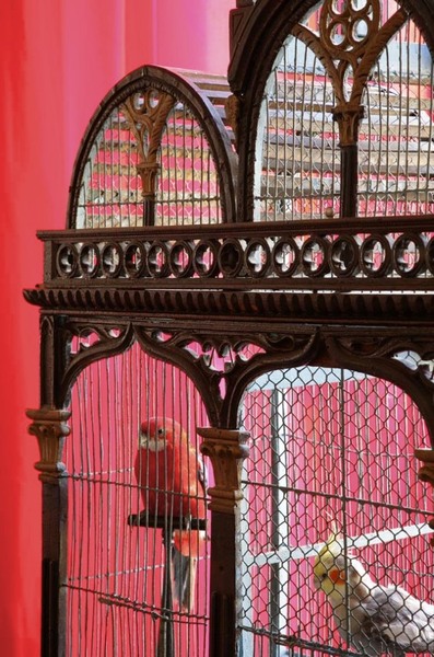 Détail cage, Maison Fassier, oiseaux, Claude Nature.