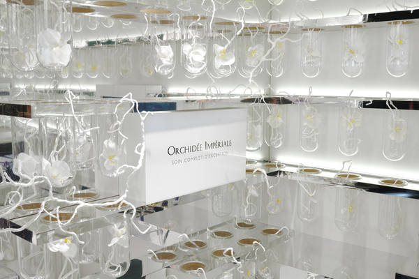 En tant que matière phare, l’orchidée est mise à l'honneur