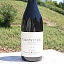 Volnay 1er cru: Domaine Rossignol 2008