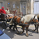 Promenades en calèche dans le village et les vignes