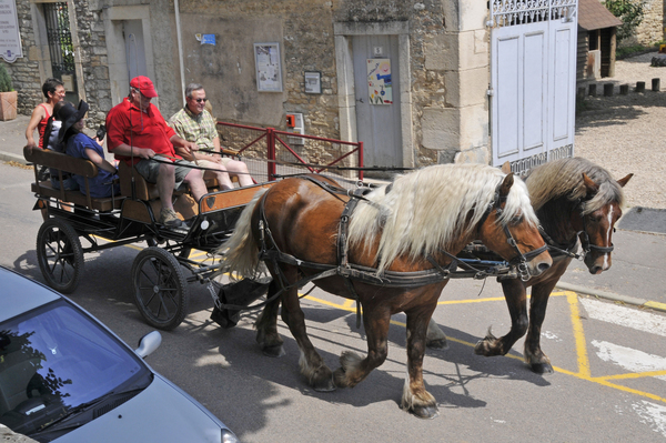 Promenades en calèche dans le village et les vignes