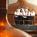 Les femmes Maîtres Brasseurs chez Brasseries Kronenbourg