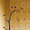 Des objets qui ont une âme : plateau, Hermès, oiseau, Lieux, coupe papier, bronze thaïlandais, bougeoir rapporté du souk de Tanger, herbier du XIXème détourné en panneau mural.