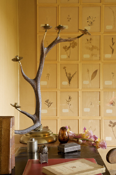 Des objets qui ont une âme : plateau, Hermès, oiseau, Lieux, coupe papier, bronze thaïlandais, bougeoir rapporté du souk de Tanger, herbier du XIXème détourné en panneau mural.