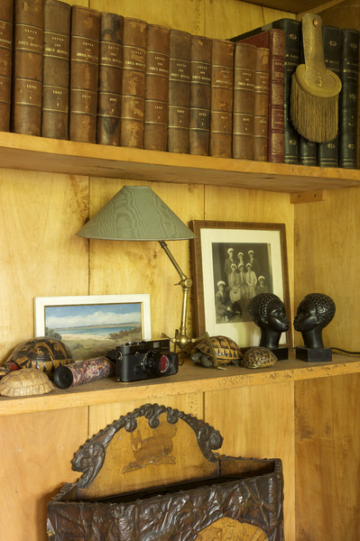 A droite de la cheminée,  une bibliothèque s’orne d’objets personnels et chinés : carapace Tortue XIXème, buste Naaj, CSAO,  marine XIXème.