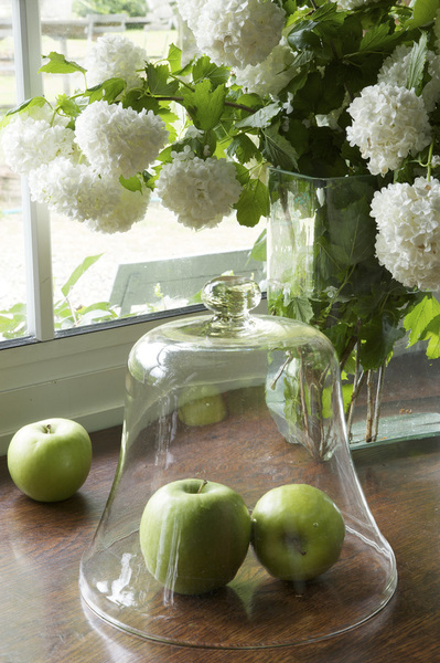 Détail cloche en verre.
