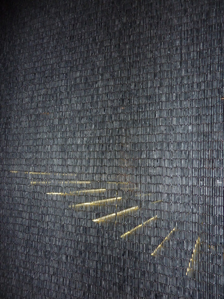 Philippe Starck: gros plan du rideau de buis