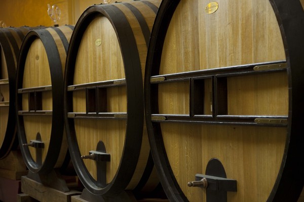 Alignement de beaux fûts dans la cuverie