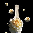 Hommage au champagne, la rose diffuse son doux parfum avec élégance